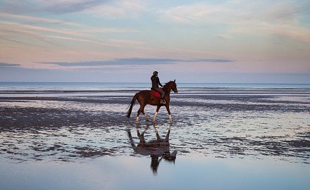 Foto Reiten am Strand von Schillig von Ronny Walter