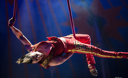Foto Fotos Zirkus Roncalli von Ronny Walter