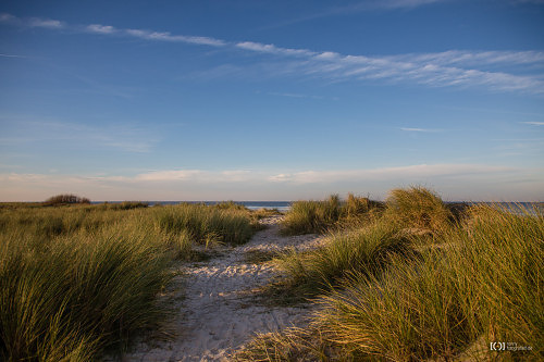 Foto Dünen in Schillig von Ronny Walter