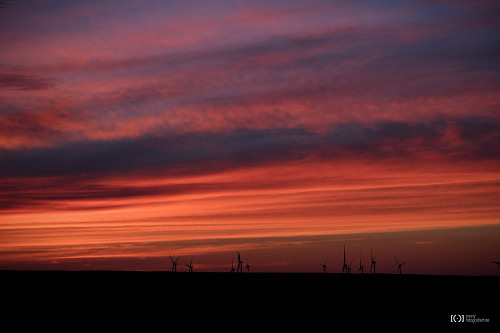 Foto Windräder im Sonnenuntergang in Schillig von Bärbel Stork