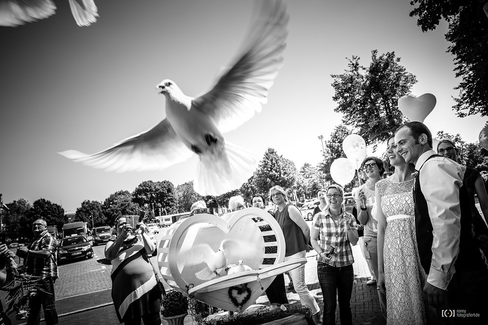 Foto Tauben vor dem Standesamt Oldenburg von Ronny Walter